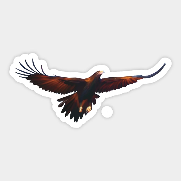 Wedge-tailed Eagle with full wingspan, Beautiful Australian raptor illustration. Bird lovers gift Sticker by PlumpPlumStudio